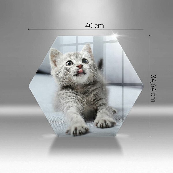 Glas Herdabdeckplatte Kleines süßes Kätzchen