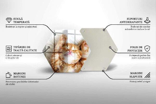 Glas Herdabdeckplatte Kleines süßes Kätzchen