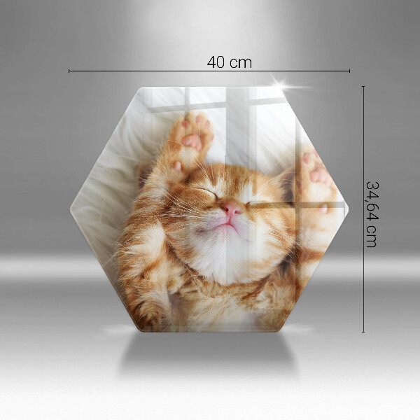 Glas Herdabdeckplatte Kleines süßes Kätzchen