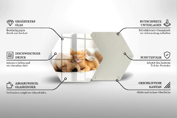 Glas Ceranfeldabdeckung Tiere Hund und Katze