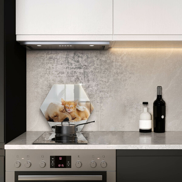 Glas Ceranfeldabdeckung Tiere Hund und Katze