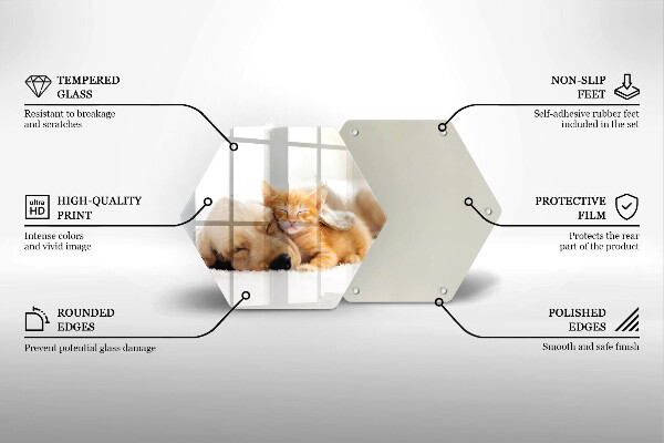 Glas Ceranfeldabdeckung Tiere Hund und Katze