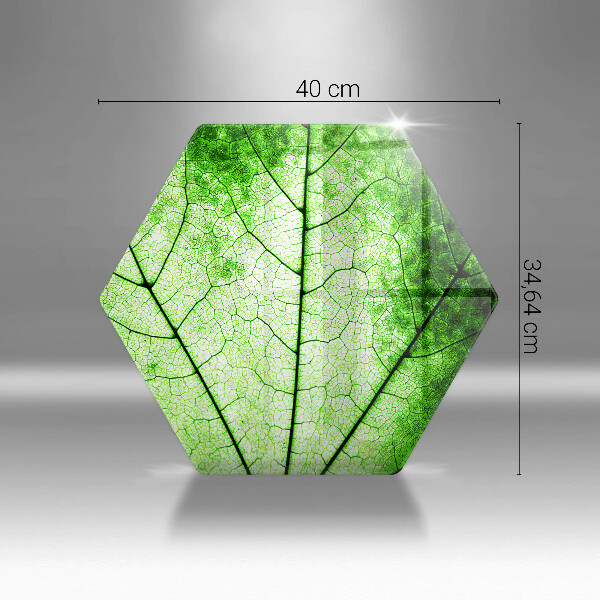 Glas Herdabdeckplatte Dekoratives Aderblatt