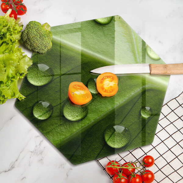 Glas Herdabdeckplatte Naturtau und Blatt