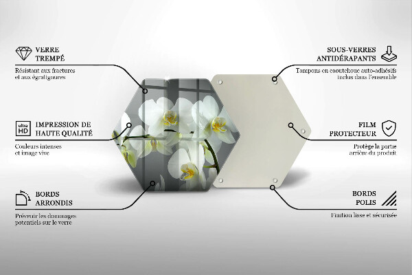 Glas Herdabdeckplatte Weiße Orchideenblüten