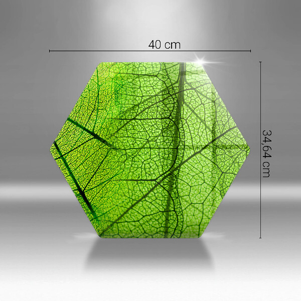 Glas Herdabdeckplatte Naturblattadern