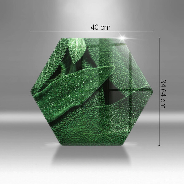 Glas Herdabdeckplatte Die Blätter der Pflanze
