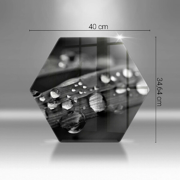 Glas Ceranfeldabdeckung Tautropfen auf den Blättern