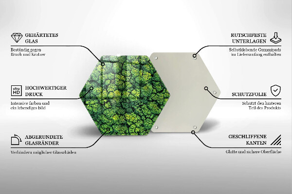 Glas Ceranfeldabdeckung Naturmoospflanze