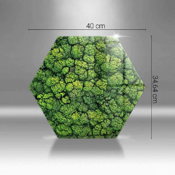 Glas Ceranfeldabdeckung Naturmoospflanze