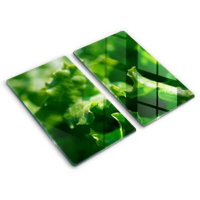 Herdabdeckplatte glas Salatblätter