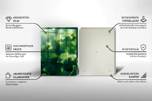 Herdabdeckplatte glas Salatblätter