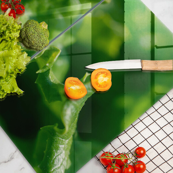 Herdabdeckplatte glas Salatblätter