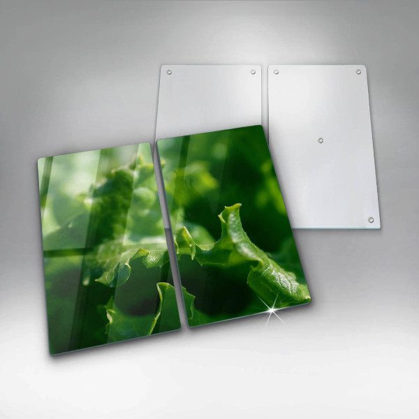 Herdabdeckplatte glas Salatblätter