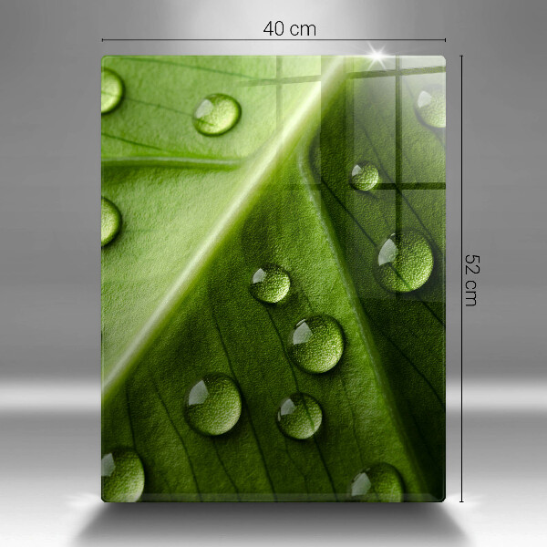 Herd abdeckplatte Naturtau und Blatt