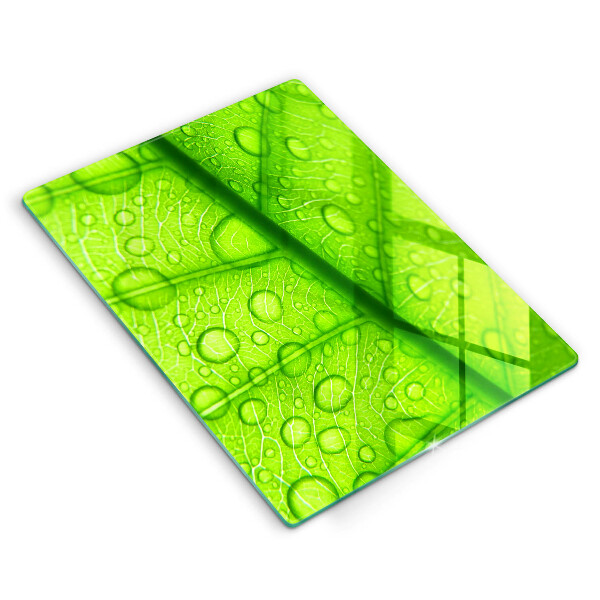 Abdeckung induktionskochfeld Nahaufnahme eines Blattes