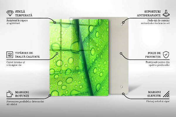 Abdeckung induktionskochfeld Nahaufnahme eines Blattes