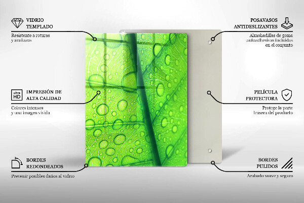 Abdeckung induktionskochfeld Nahaufnahme eines Blattes