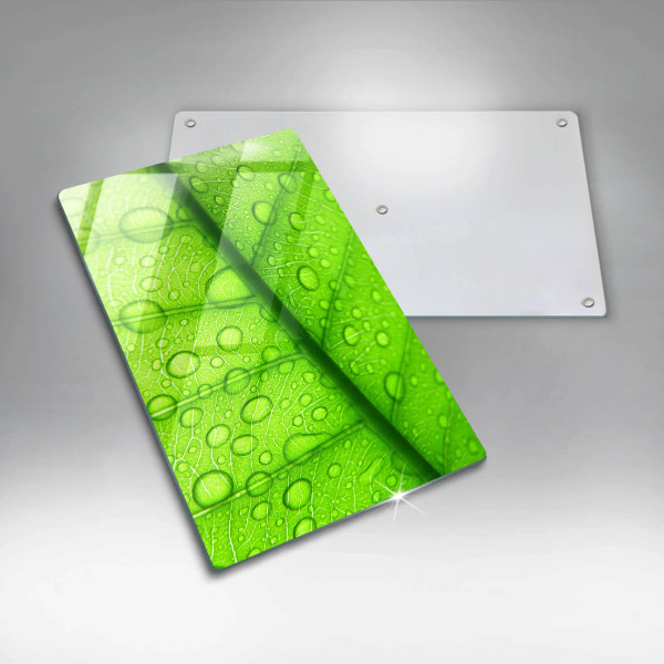 Abdeckung induktionskochfeld Nahaufnahme eines Blattes