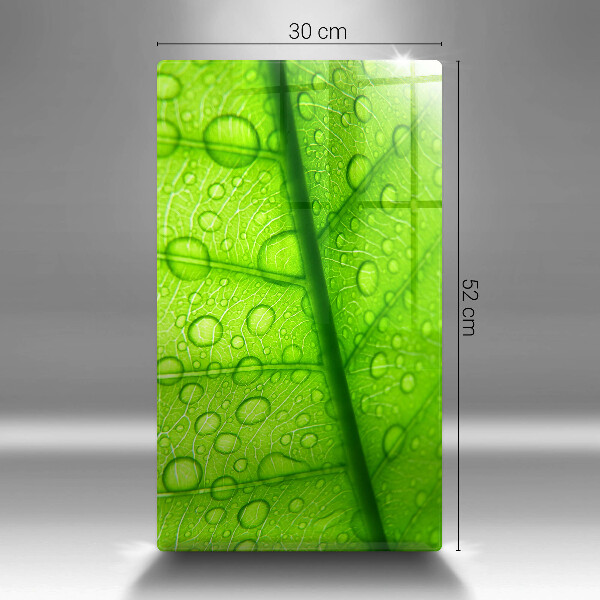 Abdeckung induktionskochfeld Nahaufnahme eines Blattes