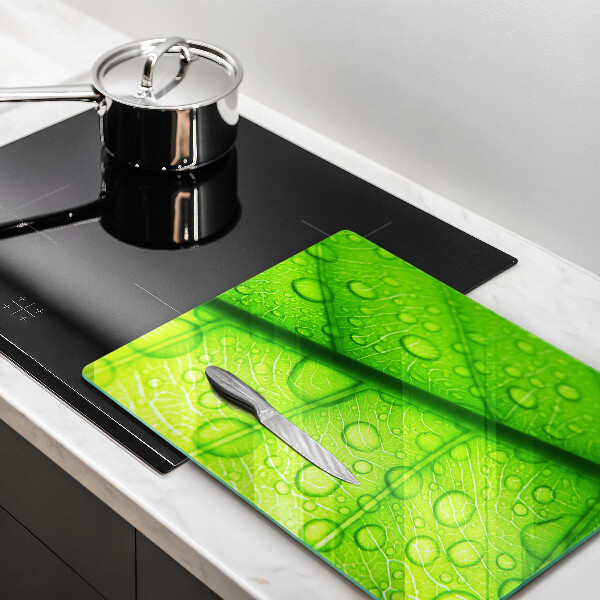 Abdeckung induktionskochfeld Nahaufnahme eines Blattes