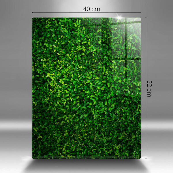 Herd abdeckplatte Pflanze mit kleinen Blättern