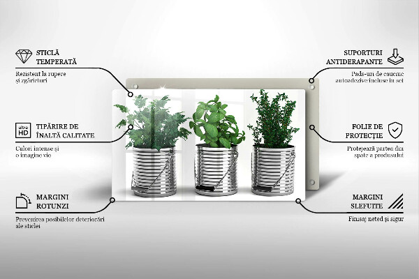 Herdabdeckplatte glas Töpfe mit Kräuterpflanzen