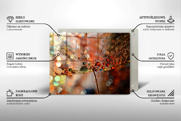 Herdabdeckplatte glas Nasser Löwenzahn