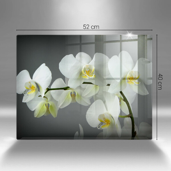 Herdabdeckplatte glas Weiße Orchideenblüten