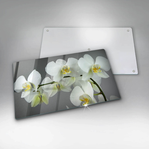 Herdabdeckplatte glas Weiße Orchideenblüten