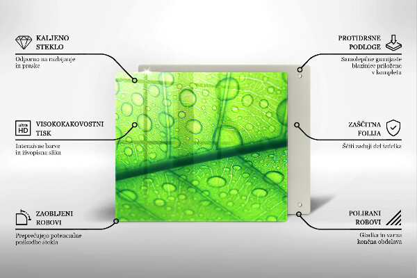 Ceranfeld schutz Nahaufnahme eines Blattes