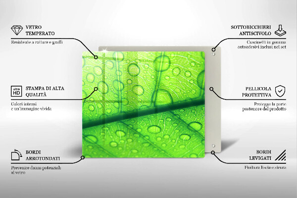 Ceranfeld schutz Nahaufnahme eines Blattes
