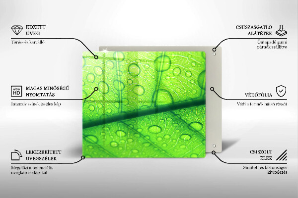 Ceranfeld schutz Nahaufnahme eines Blattes