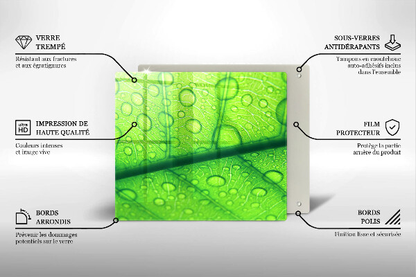 Ceranfeld schutz Nahaufnahme eines Blattes