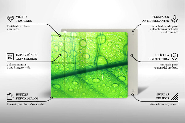 Ceranfeld schutz Nahaufnahme eines Blattes