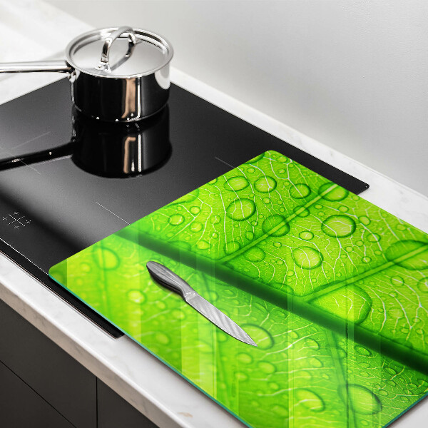 Ceranfeld schutz Nahaufnahme eines Blattes