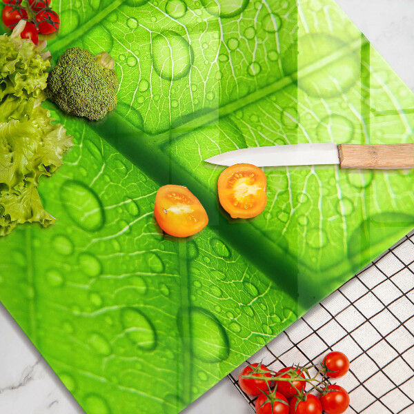 Ceranfeld schutz Nahaufnahme eines Blattes