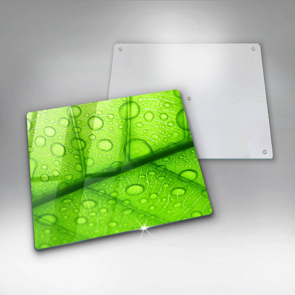 Ceranfeld schutz Nahaufnahme eines Blattes