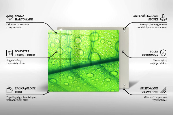 Ceranfeld schutz Nahaufnahme eines Blattes