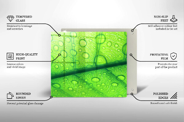 Ceranfeld schutz Nahaufnahme eines Blattes