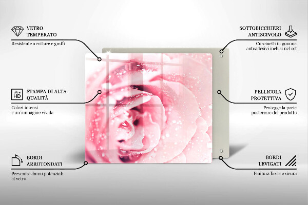 Ceranfeldabdeckung Tautropfen und Rosenblüte