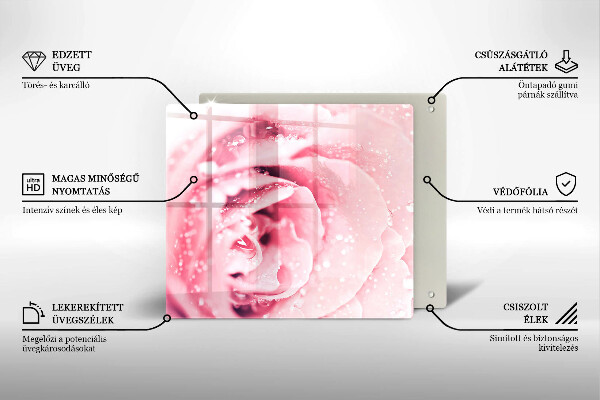 Ceranfeldabdeckung Tautropfen und Rosenblüte