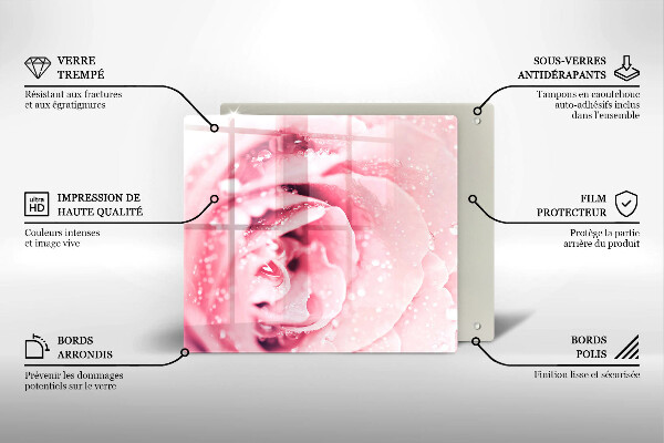 Ceranfeldabdeckung Tautropfen und Rosenblüte