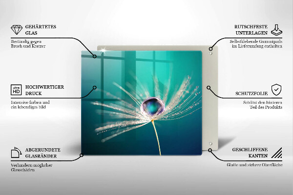 Ceranfeld schutz Tau auf einem Löwenzahn