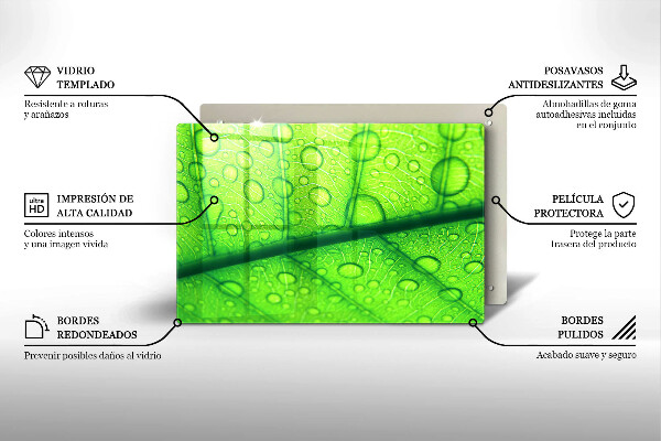 Herdabdeckplatte glas Nahaufnahme eines Blattes