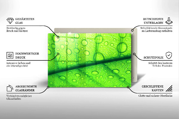 Herdabdeckplatte glas Nahaufnahme eines Blattes