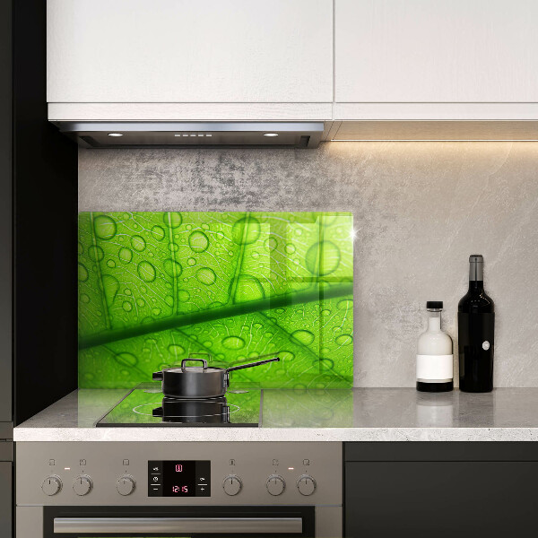 Herdabdeckplatte glas Nahaufnahme eines Blattes