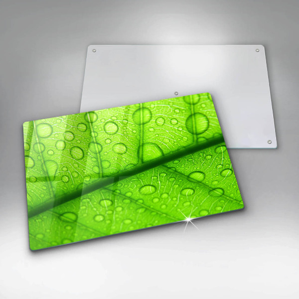 Herdabdeckplatte glas Nahaufnahme eines Blattes