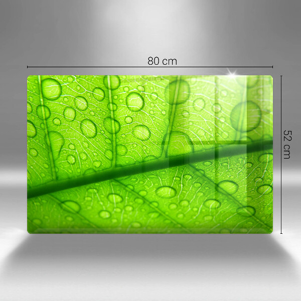 Herdabdeckplatte glas Nahaufnahme eines Blattes
