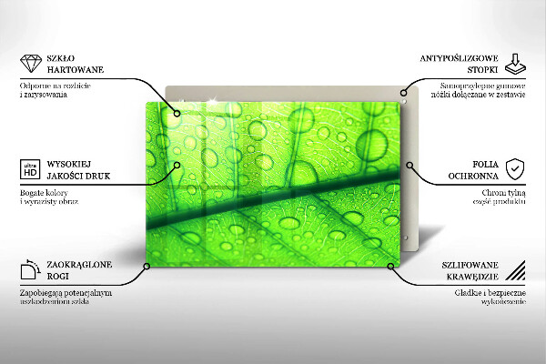 Herdabdeckplatte glas Nahaufnahme eines Blattes